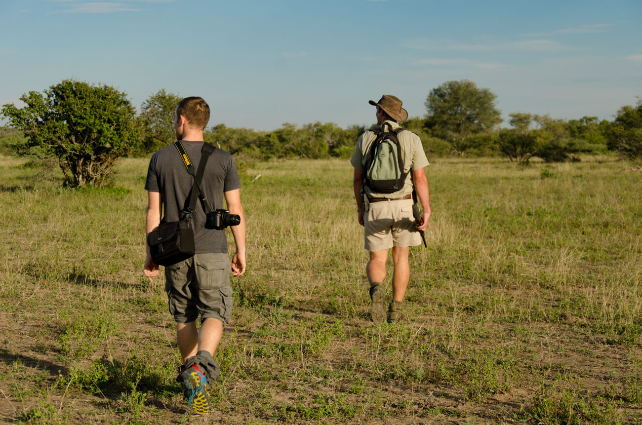 Walking-safari-Kruger-1-1