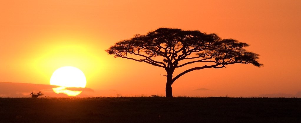 sunset serengeti (2)