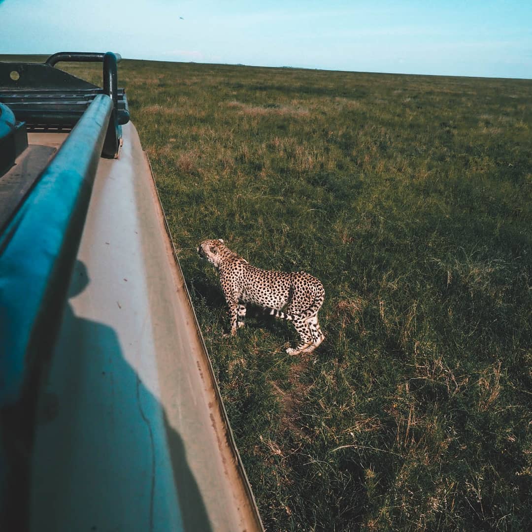 7wonderssafaris_tz_1623329445_2592997785777140619_3752293011