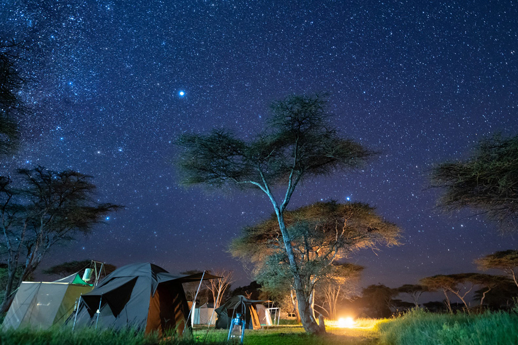 Camping Safari 4