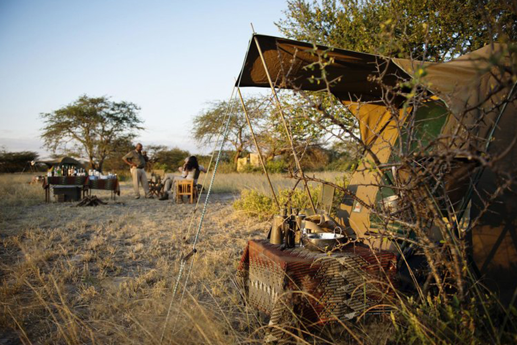 Camping Safari 6