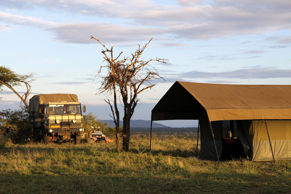 Camping Safari 7