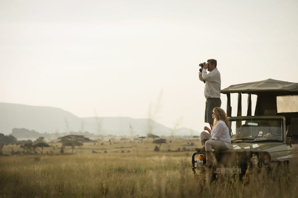 Honeymoon Safari 3