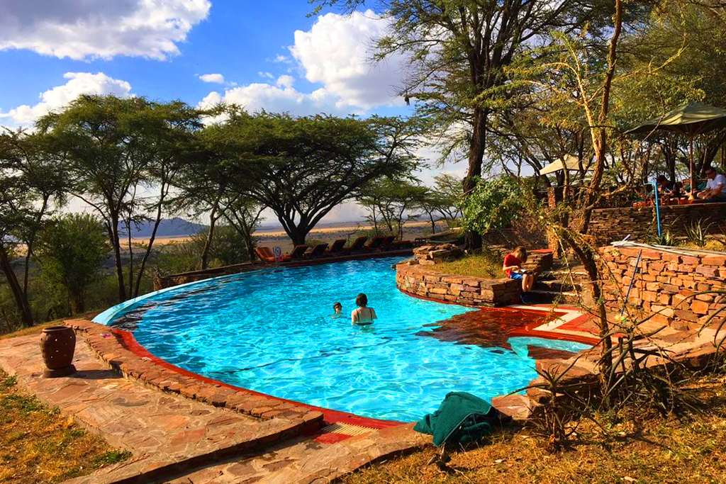 Lodge Safari 2
