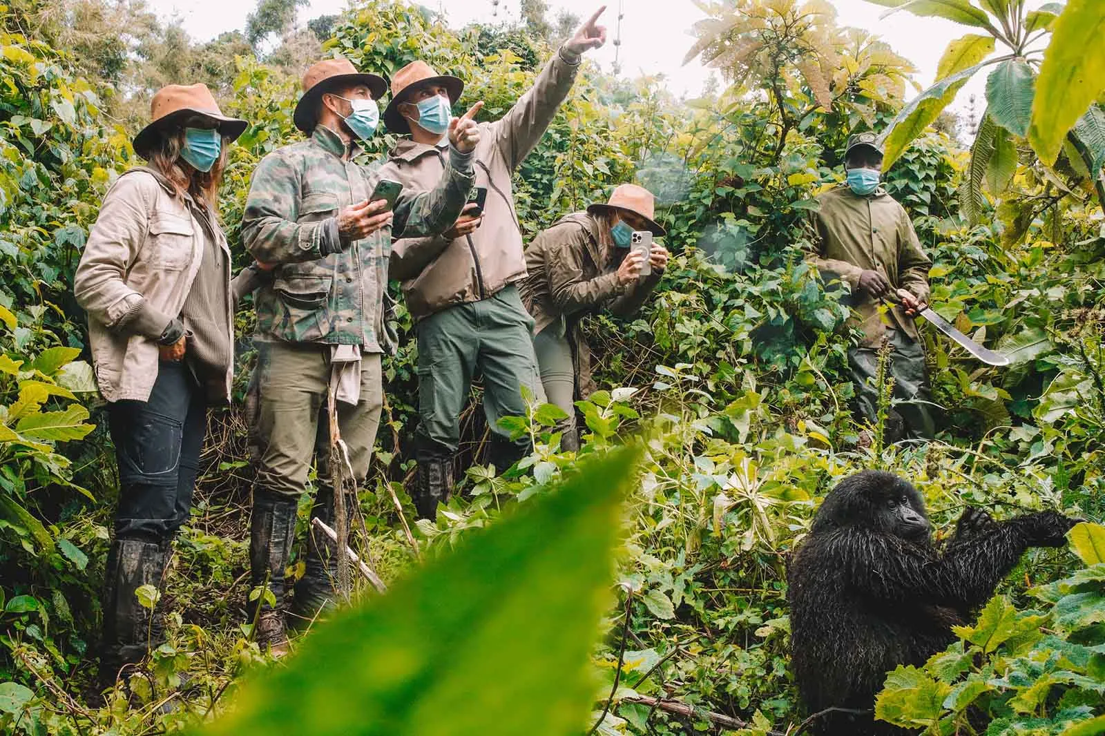 Roles of Porters in Gorilla trekking