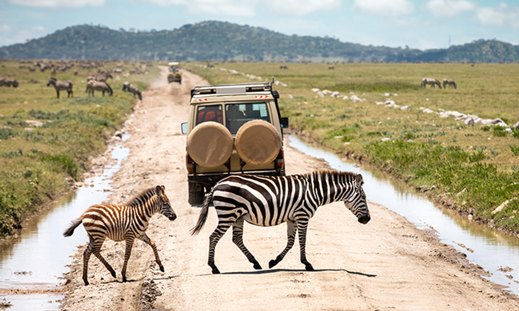 Serengeti 2