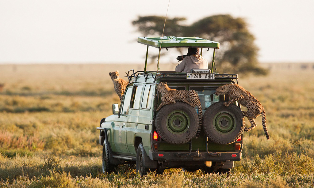 Serengeti