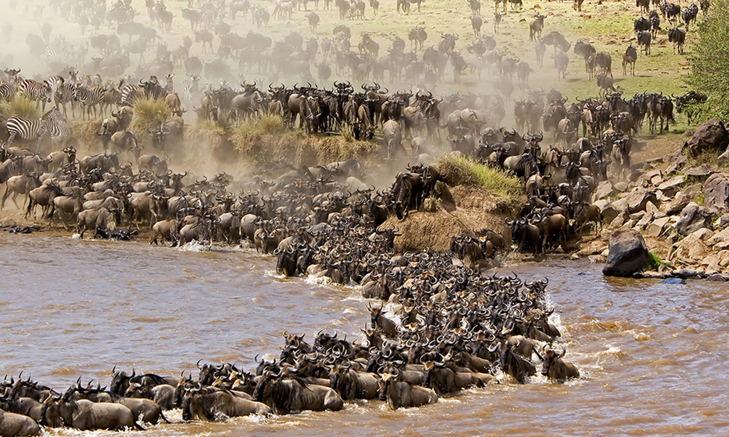 Serengeti_Package