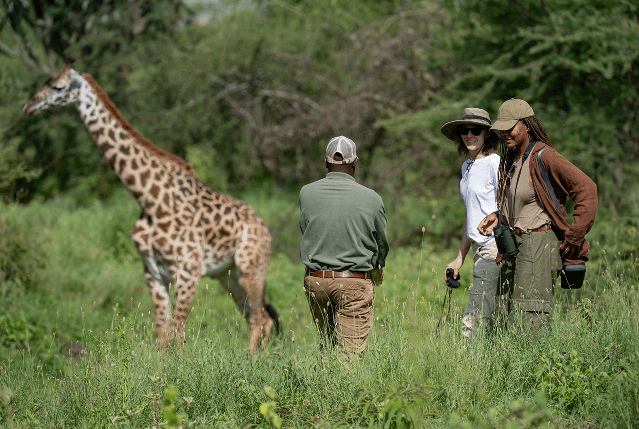 Arusha Giraffe Centre Day Trip