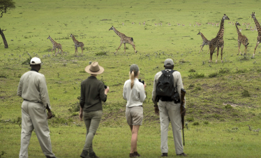 Arusha National Park Day Trip