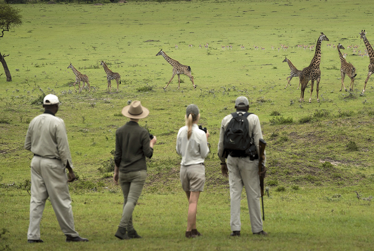 Arusha National Park Day Trip