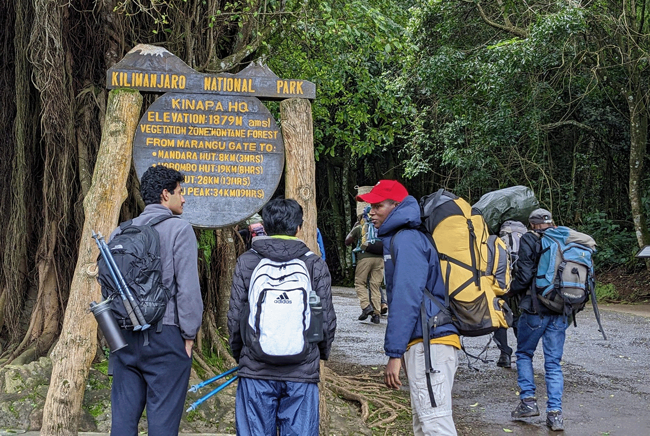 Mount Kilimanjaro Day Trip