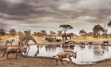 Tarangire National Park Day Trip