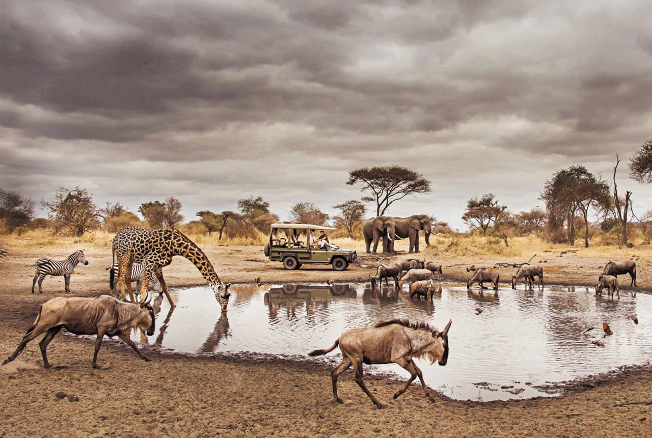Tarangire Day Trip