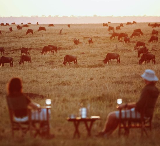 10 Days East Africas Honeymoon Migration Safari