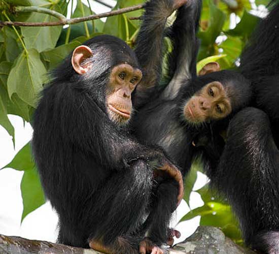 13-DAYS-NORTHERN-CIRCUIT-AND-WILD-WEST