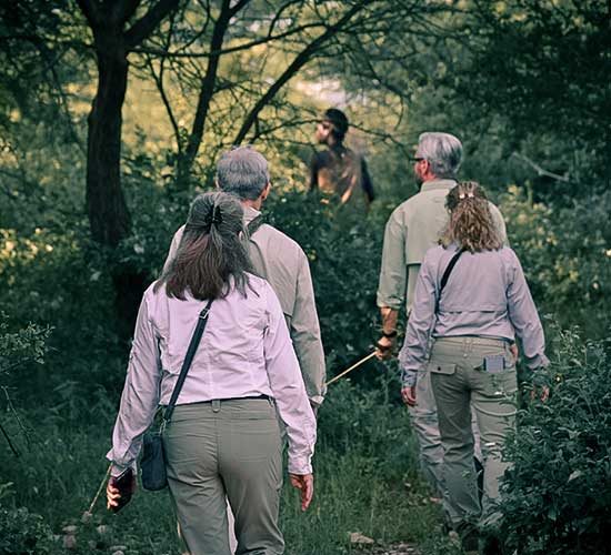 6-DAYS-TARANGIRE,-NGORONGORO,-SERENGETI-&-WALKING-SAFARI