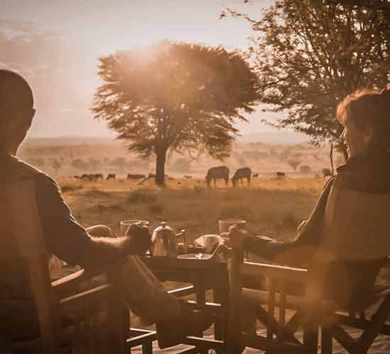 7 Days Best of Tanzania Great Migration Lodge Safari