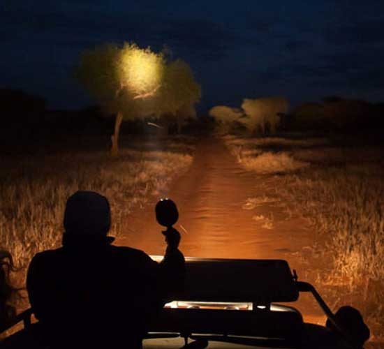 9-DAYS-WALK-ALONG-THE-BIG-GAME-AND-NIGHT-GAME-SAFARI