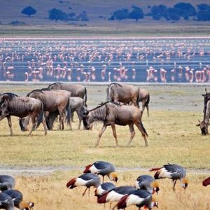LAKE MANYARA