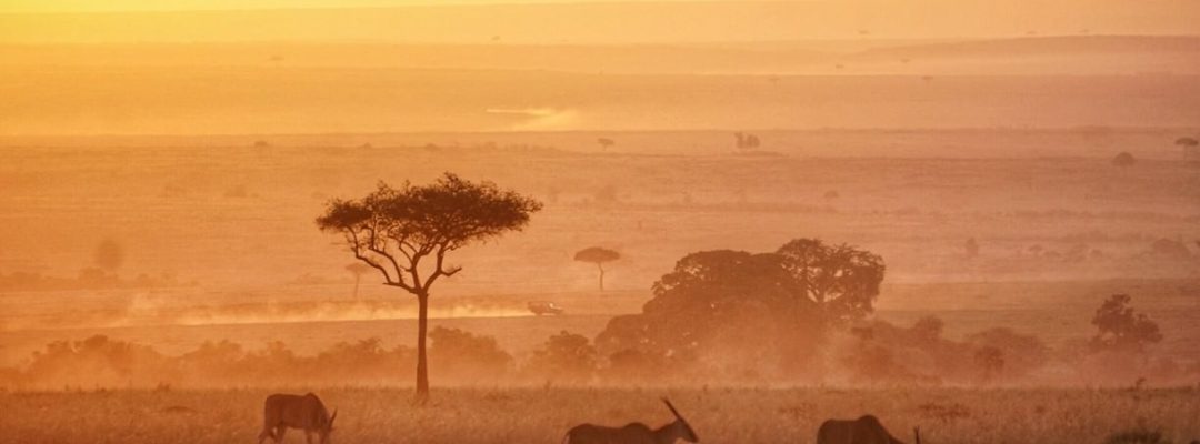Maasai Mara Morning]