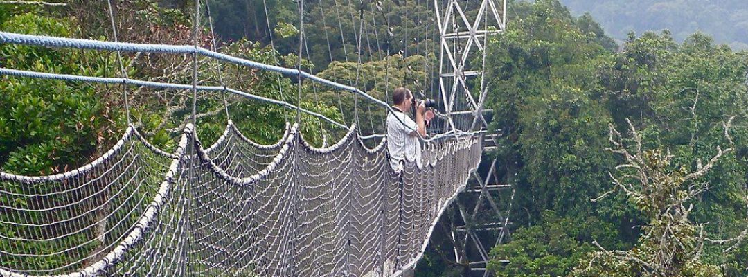 NYUNGWE-FOREST-CHIMPS-EXPERIENCE-1-1024x452