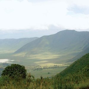 Ngorongoro