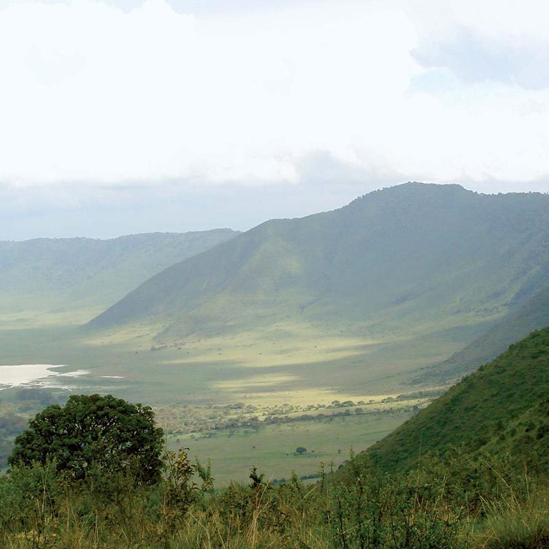 Ngorongoro