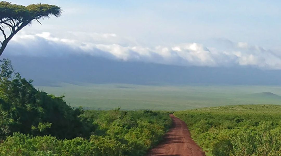 tanzania luxurious safari, Tanzania Safari