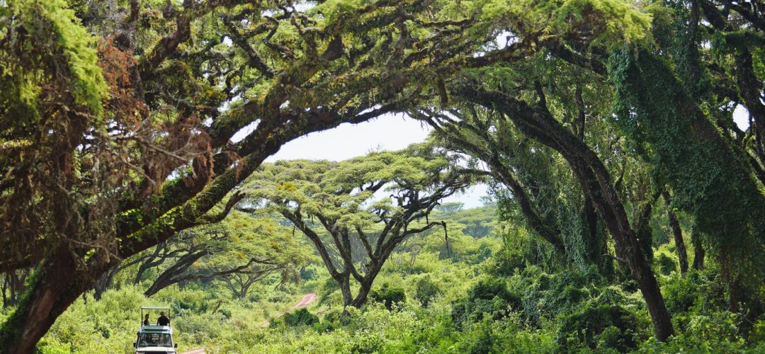 Travel Tanzania NGorongoro