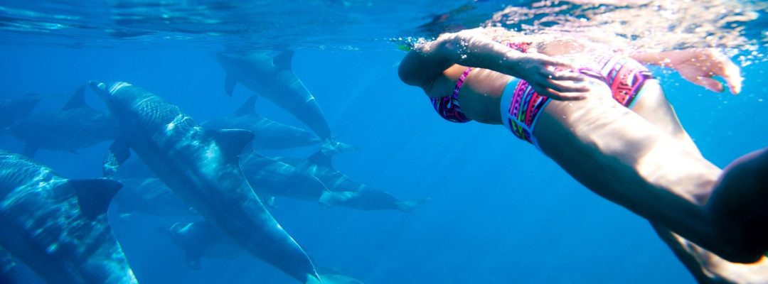 Zanzibar_SwimmingWithDolphin2