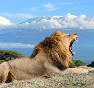 ambosel national park ambosel national park