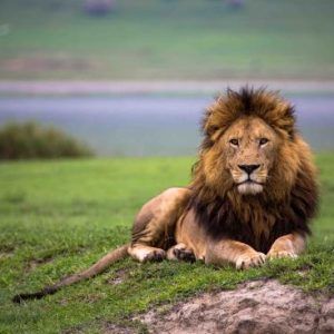 andbeyond-ngorongoro