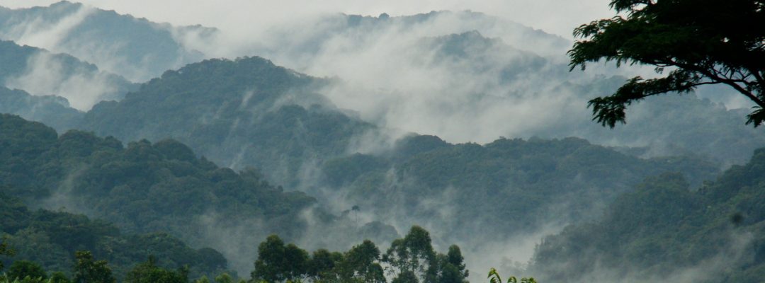 bwindi national park