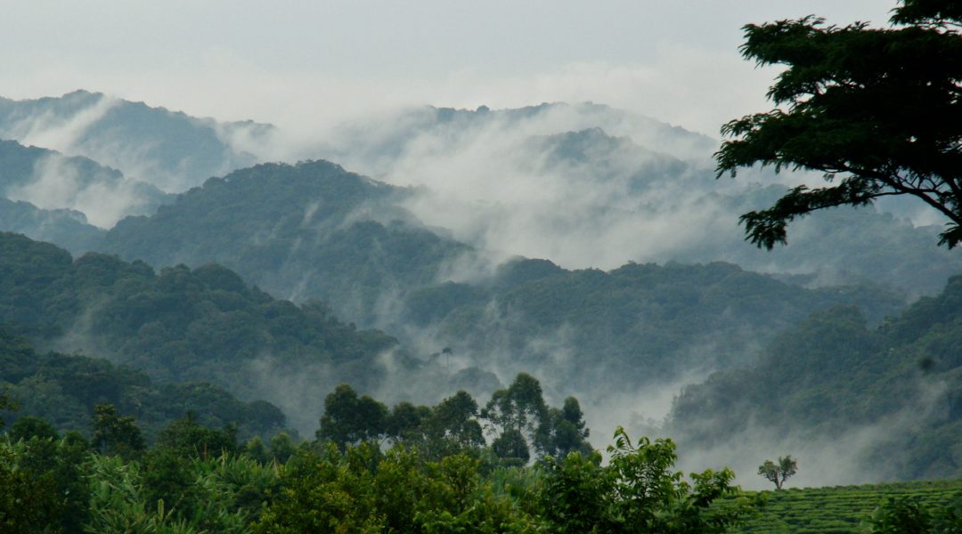 bwindi national park