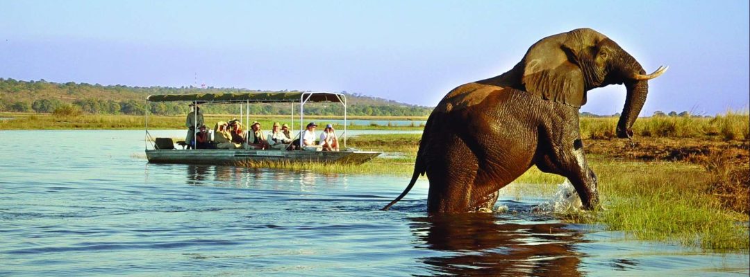 chobe national park