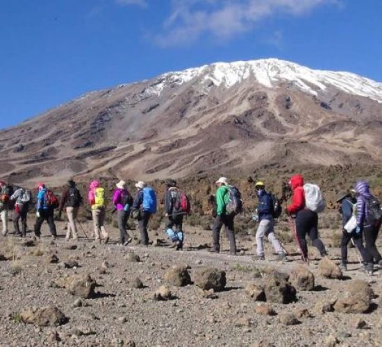 kilimanjaro-climb-lemosho-route-tour