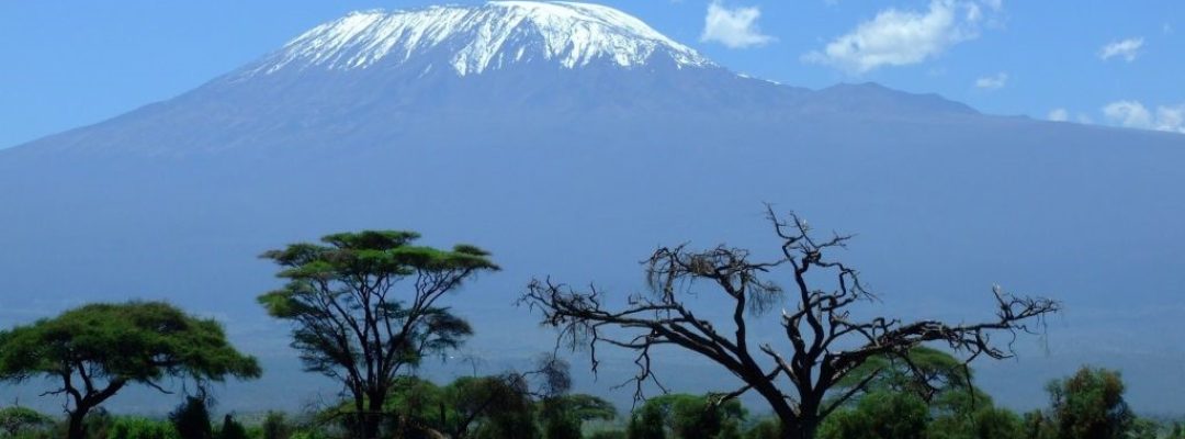 kilimanjaro view from road