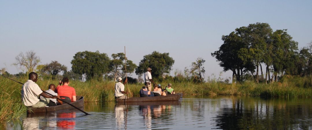 okavango delta 1