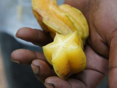 starfruit-Zanzibar
