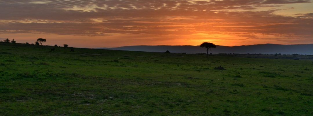 sunrise-in-maasai-mara-national-reserve-kenya