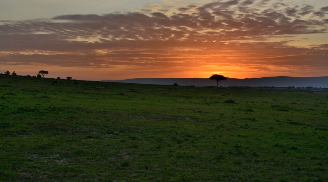 sunrise-in-maasai-mara-national-reserve-kenya