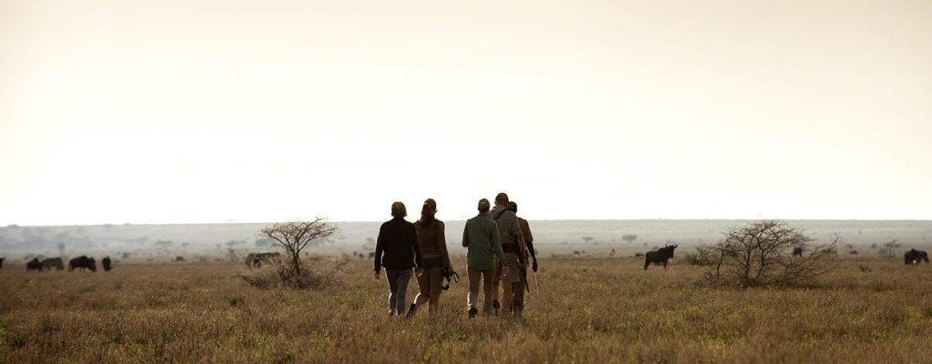 Bush Walks Serengeti